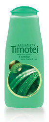 Timotei Kiwi