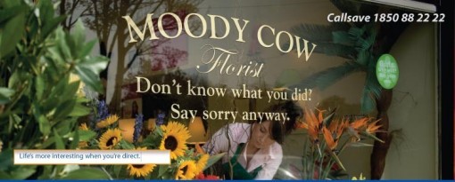 Moody Cow