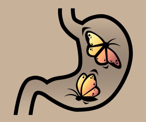 mariposas.jpg