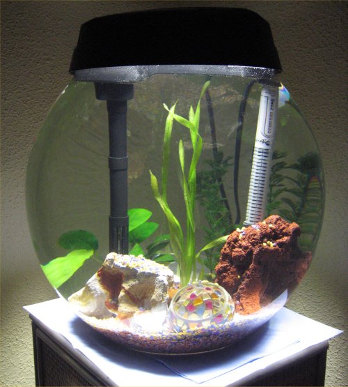 acuario_nuevo.jpg