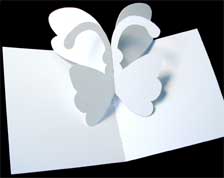 popup_make_btrfly_wht_225px1.jpg