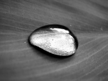 Teardrop
