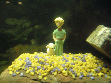 principito-submarino.jpg