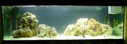 acuario_415px