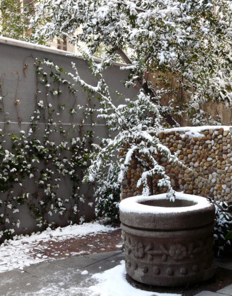 Madrid blanco