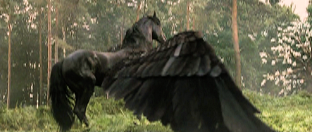 Pegaso