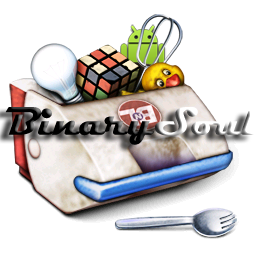 Binary Soul