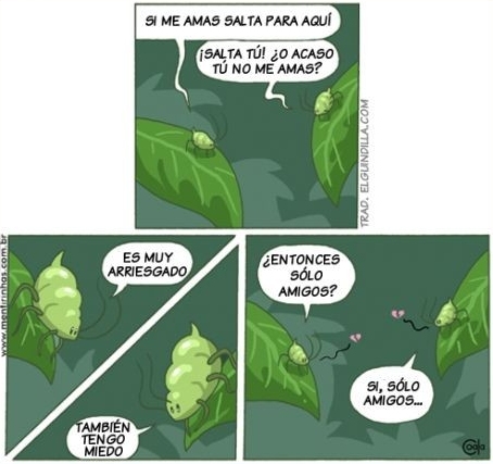 vineta