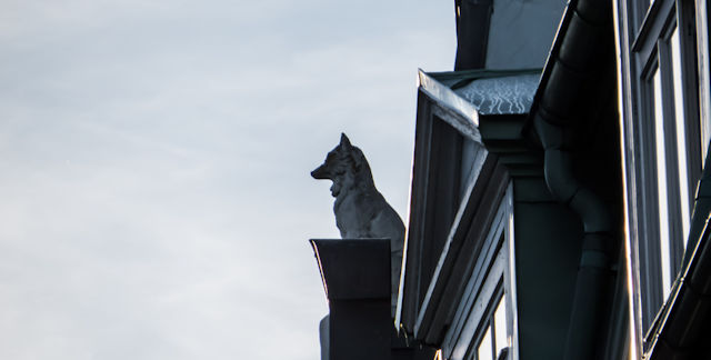 No Temas Al Lobo Herido Sino Al Cautivo Peor Para El Sol